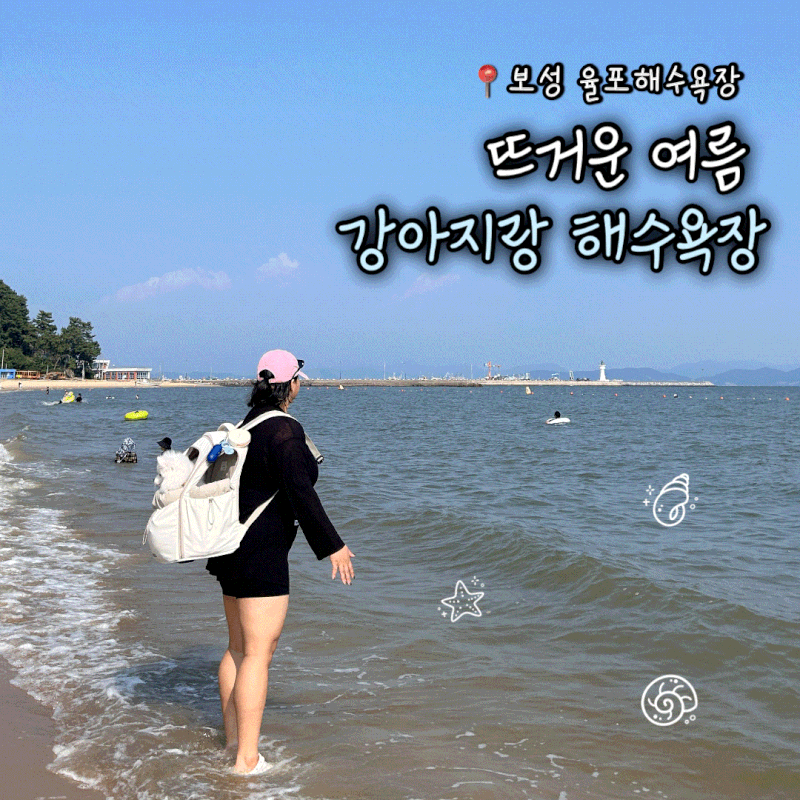 전남 보성 애견 동반 바다여행 율포해수욕장 총정리