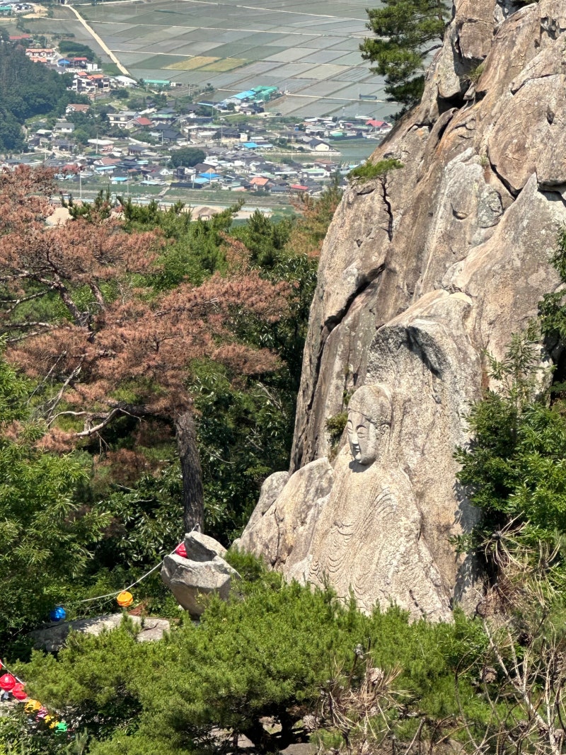 경주 남산 초보 서남산코스 방문기(주차,난이도,꿀팁)