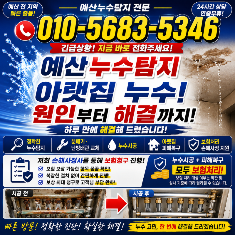 예산누수탐지 아파트 배관균열과 분배기 노후에 의한 아랫층 누수 피해복구포함 일괄 보험....