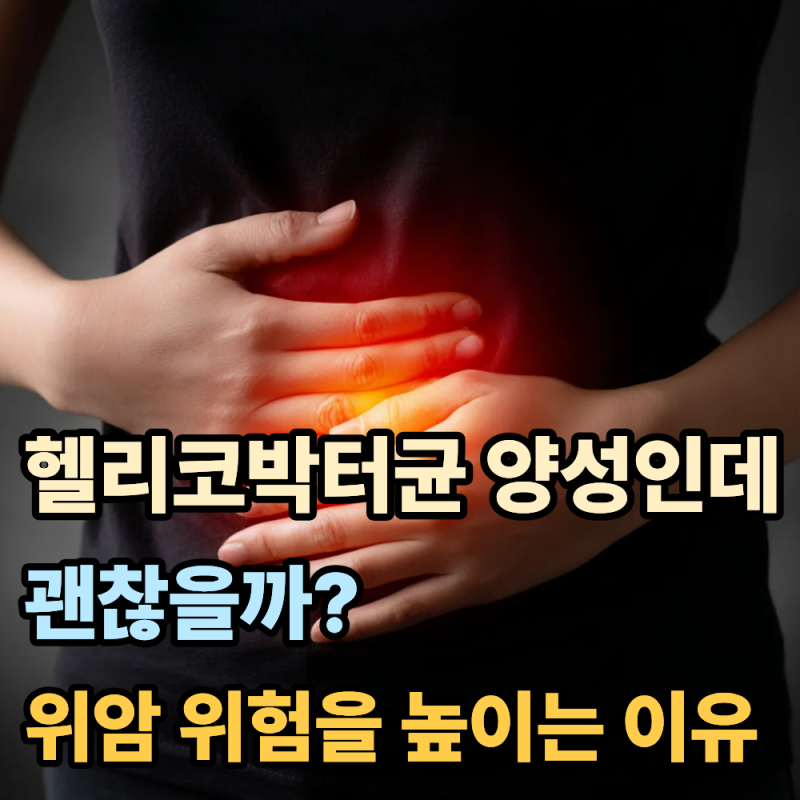 "헬리코박터균 양성인데 괜찮을까?"...위암 위험을 높이는 이유