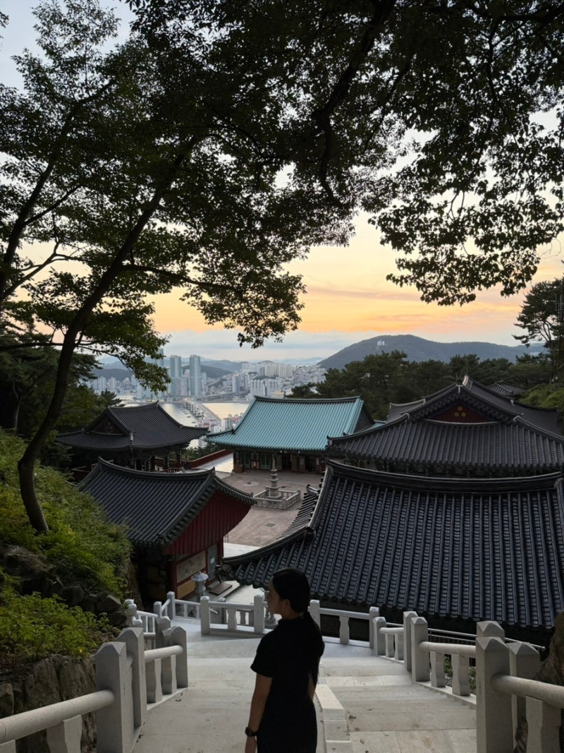부산 영도 야경 '복천사' 숨겨진 명소 추천