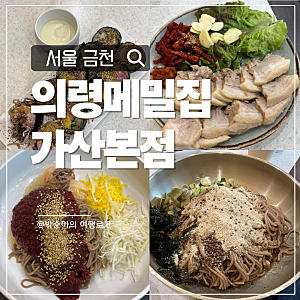 서울 가산디지털단지역 직장인 점심 맛집ㅣ의령메밀집 가산본점 내돈내산