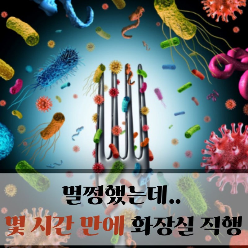 "멀쩡했는데 몇 시간 만에…" 급성 식중독 의심할 증상 5가지