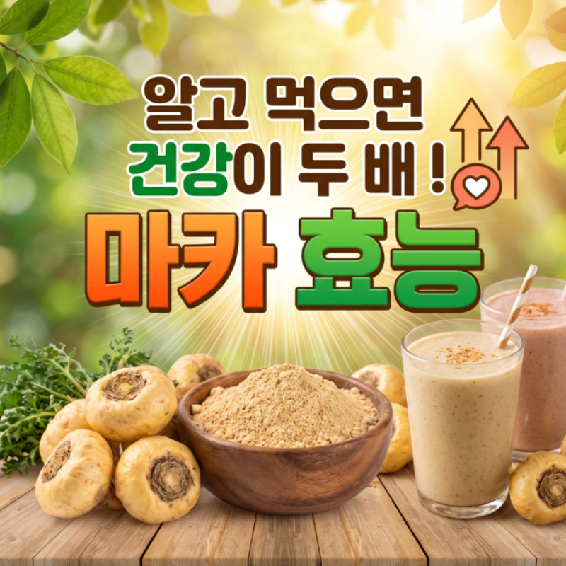 마카 복용법 생마카 분말 가루 효능
