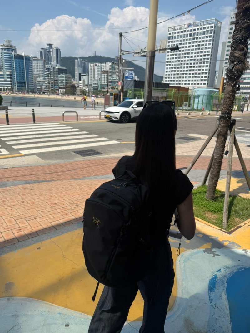 [Arcteryx] 아크테릭스 맨티스 26 백팩, 보부상 가방 추천