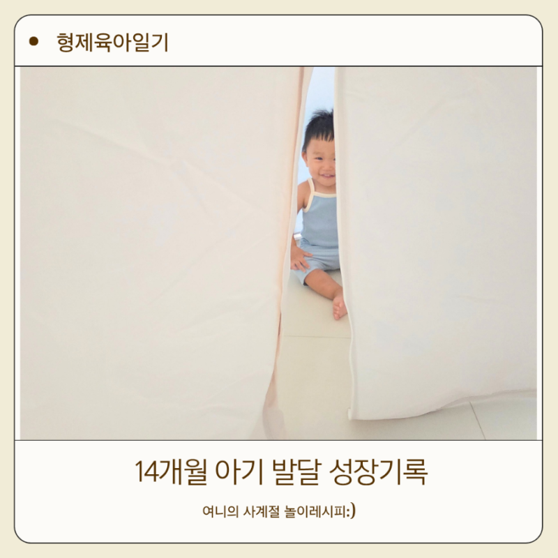 14개월 아기 발달 체크리스트 걷기 밥양 언어 몸무게 성장기록