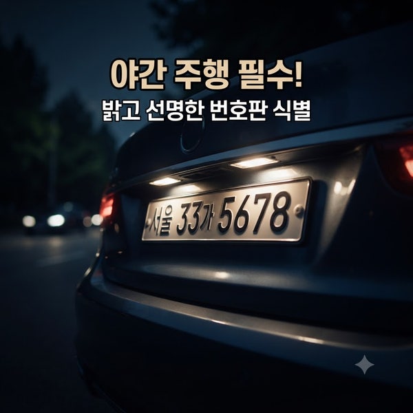 자동차 번호판등 교체 비용 총정리! 셀프 vs 정비소 완벽 비교
