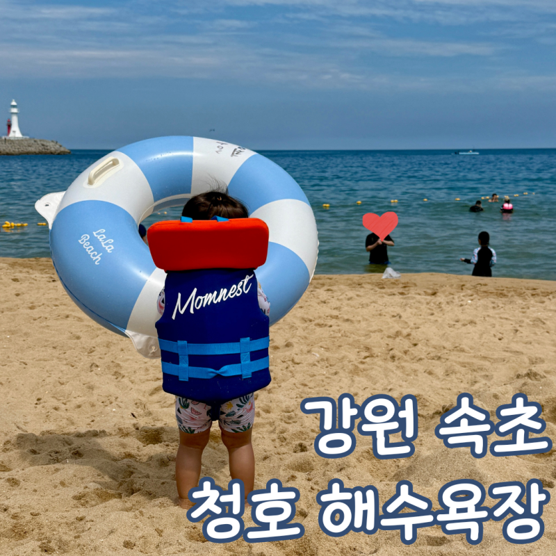 속초 해수욕장 폐장 한적한 청호 해수욕장 아기랑
