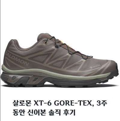 살로몬 XT-6 고어텍스 러닝화 한 달, 트레킹 경험담