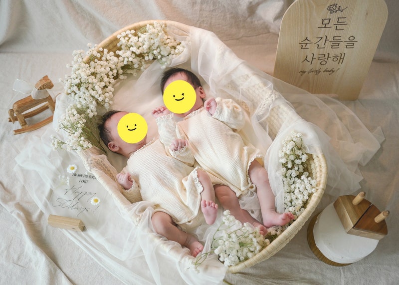 쌍둥이 50일 셀프촬영 소품대여 후기(베베온미/로다테이블)