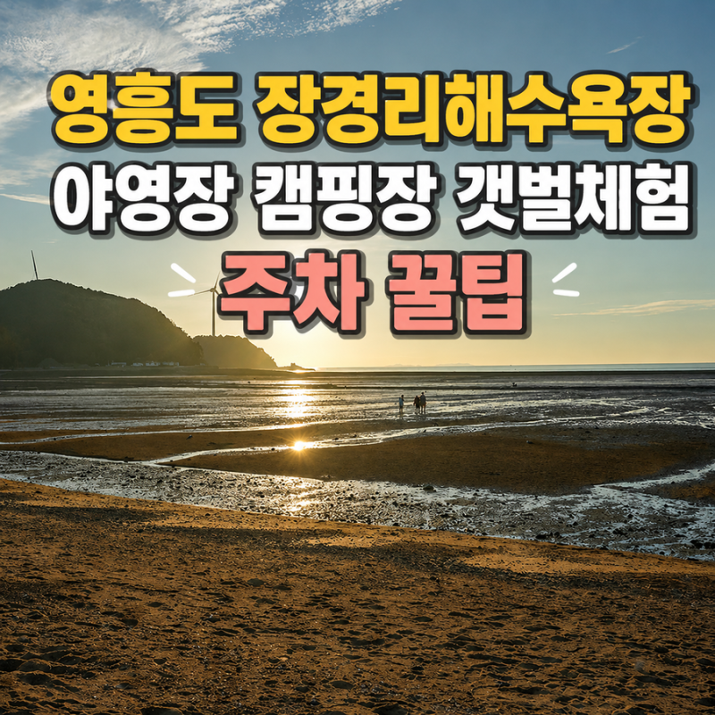 영흥도 장경리해수욕장 야영장 캠핑장 예약 및 갯벌체험 주차 꿀팁