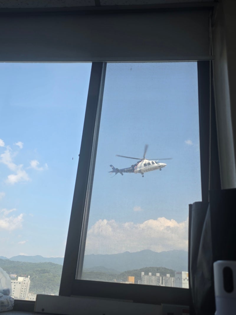 부비동염수술(축농증),비중격만곡증 수술후기