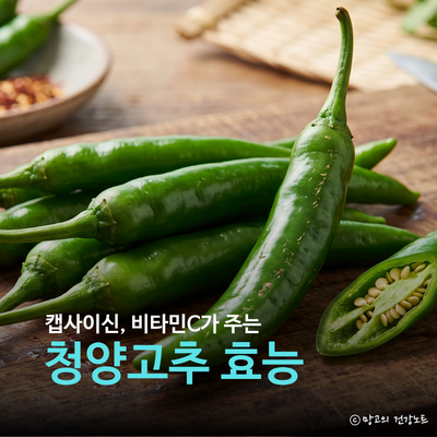 청양고추 효능 부작용 영양성분 먹는법 및 보관법 총정리!