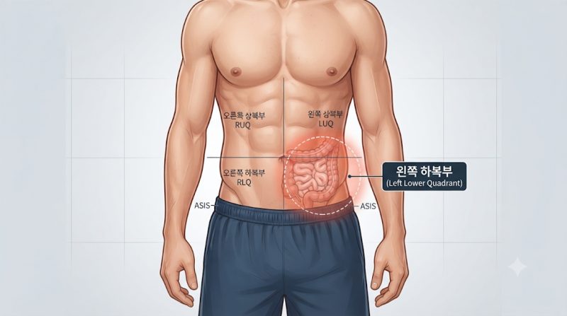 왼쪽 아랫배 통증, 콕콕 찌르는 이유는? 가스부터 장·비뇨기 문제까지 증상별로 알아보기