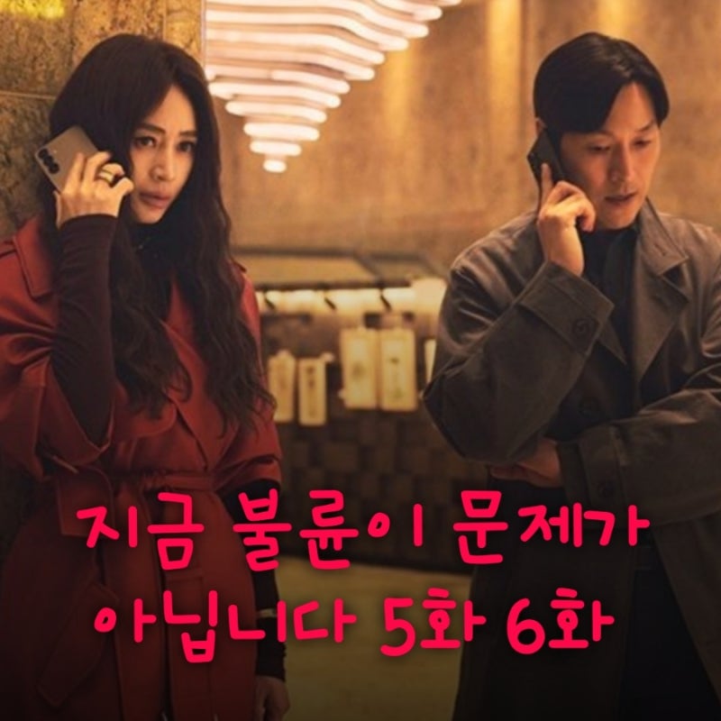 지금 불륜이 문제가 아닙니다 5화 6화 불륜이 제일 큰 문제가 된 줄거리 후기