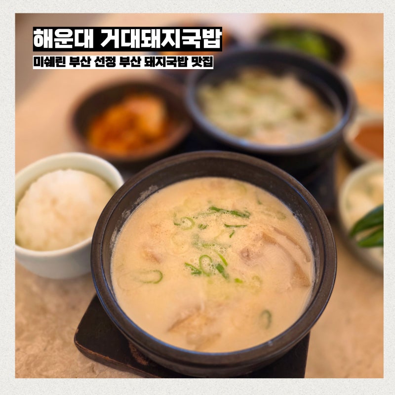 해운대 거대돼지국밥 미쉐린 가이드 선정된 부산 돼지국밥 맛집