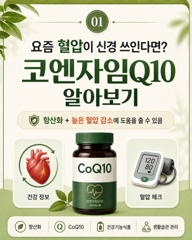 건강정보 l 요즘 혈압이 신경 쓰인다면? 40대부터 관심 높아지는 코엔자임Q10 알아보기