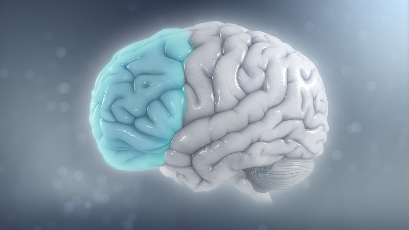 ADHD 약, 정말 ‘공부 잘하는 약’일까요? 콘서타의 키 성장·불면·정신과적 부작용과 집중력....