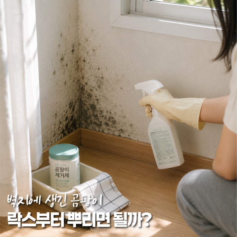 벽지곰팡이제거, 장마 뒤 생긴 벽곰팡이제거 어떻게 해야 할까요?