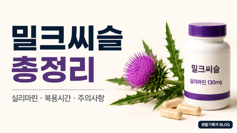 밀크씨슬이란? 효능부터 하루 섭취량·복용시간까지 총정리