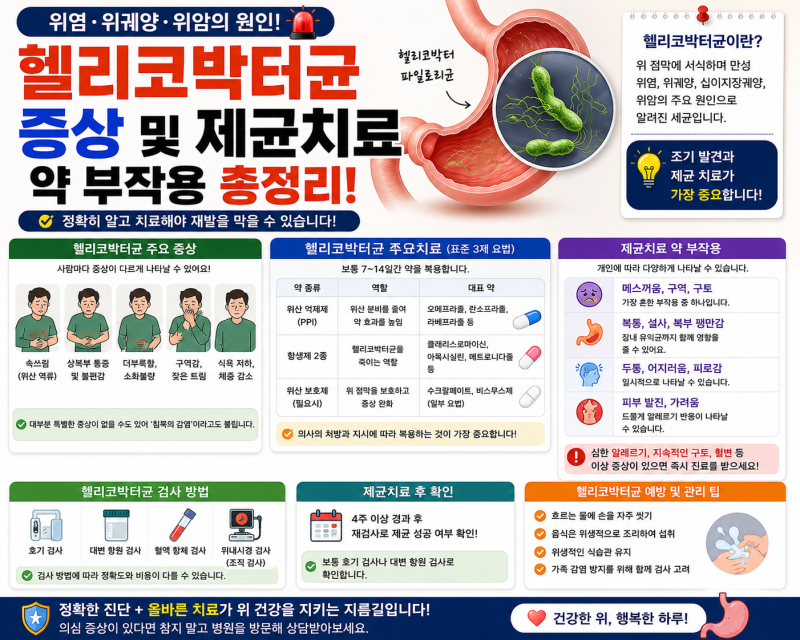 헬리코박터균 증상 및 제균치료 약 부작용｜2026년 기준 총정리
