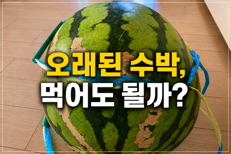 수박 보관법｜통수박 실온·냉장 보관부터 자른 수박 보관까지