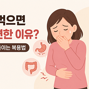 철분제 먹으면 속이 불편한 이유? 메스꺼움·변비 줄이는 복용법