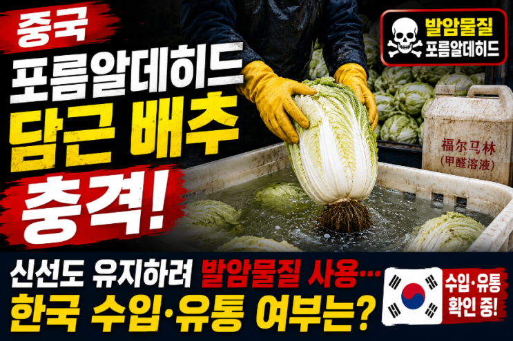 중국 <b>포름알데히드</b> 담근 <b>배추</b> 충격｜신선도 유지하려 발암물질 사....