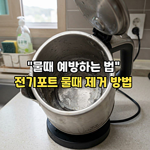전기포트 물때 제거 방법 "구연산. 식초로 깔끔하게 세척하는 법" (f.커피포트 물때 예방법)