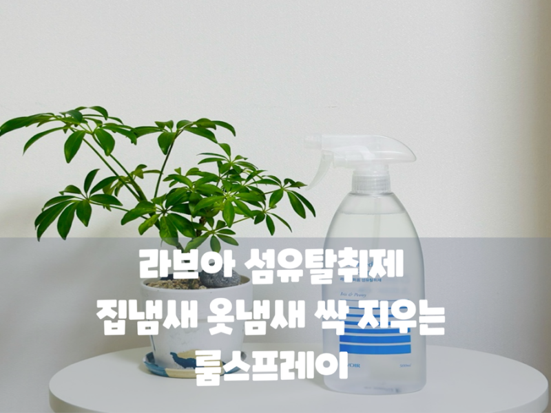 라브아 섬유탈취제 집냄새 옷냄새 싹 지우는 룸스프레이 인생템 !