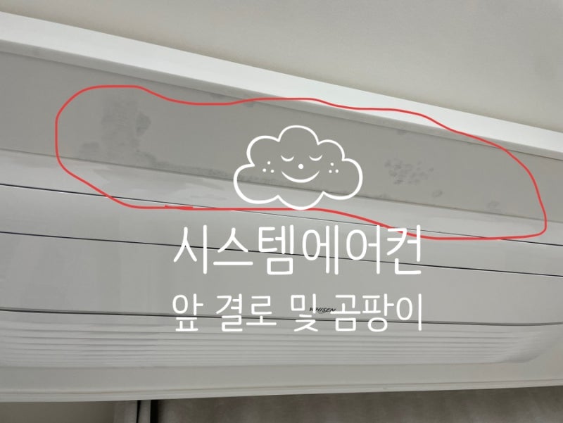 시스템에어컨 결로 천장 곰팡이 부분수리로 해결! 감쪽같이 없앨 수 있다고??(feat.다니엘홈케....