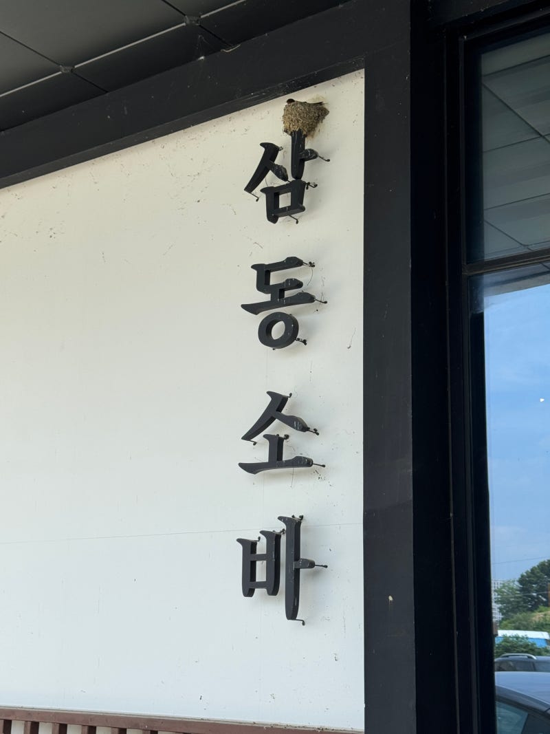 세종 금남면 맛집 삼동소바, 이제 집현동 맛집으로도 진출｜삼동정식과 비빔소바 후기