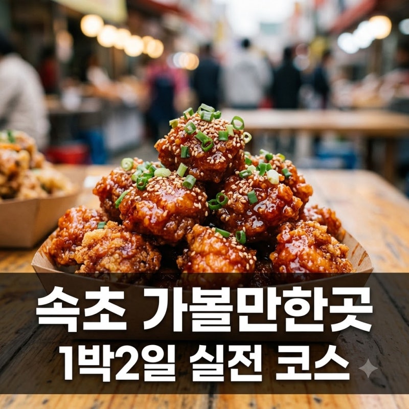 속초 가볼만한곳 1박2일 동선 직접 가보고 정한 꿀팁