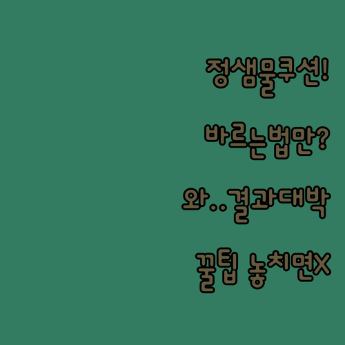 쿠션 바르는 방법만 바꿨더니 달라진 정샘물 프로래스팅 결핏 메쉬 쿠션