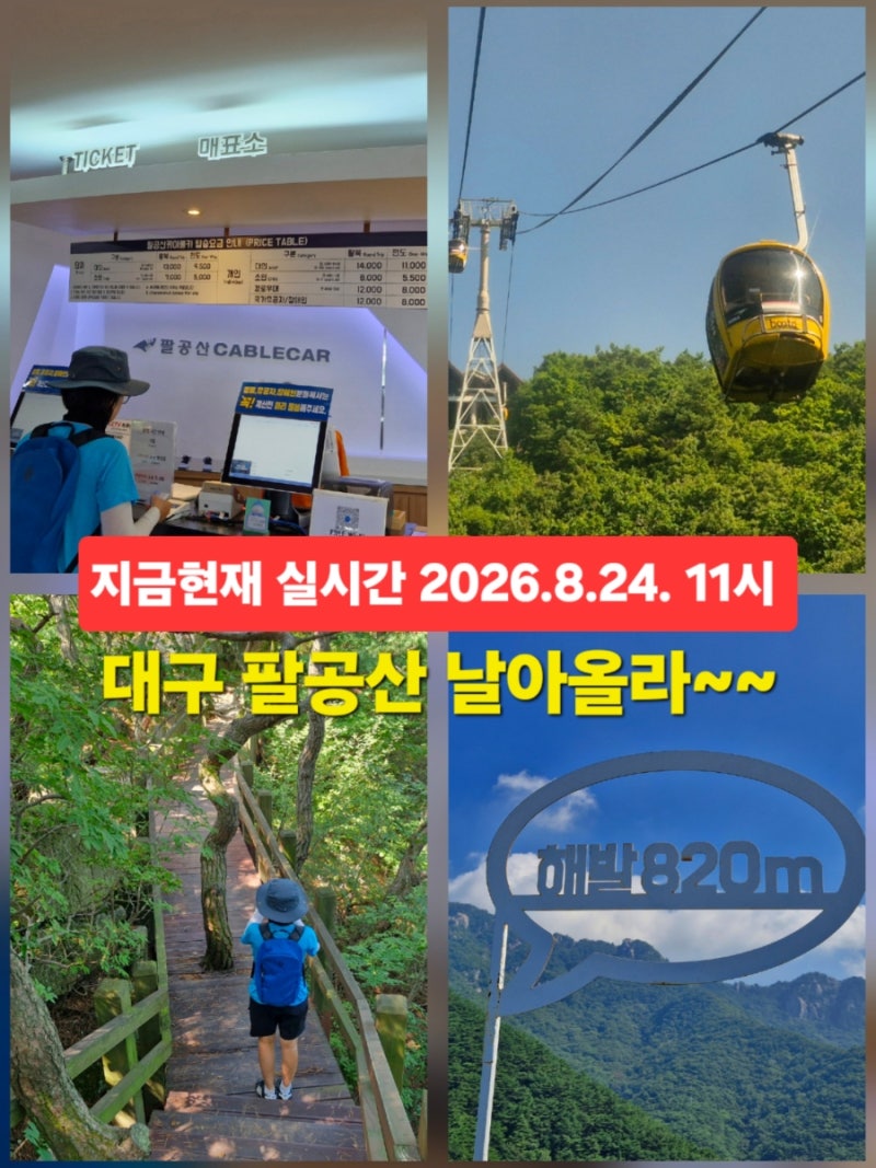 대구 핫플 팔공산 케이블카 2026.8.24