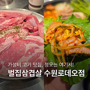 수원역맛집, 가성비갑 고기를 가성비좋게 먹을 수 있는 벌집삼겹살