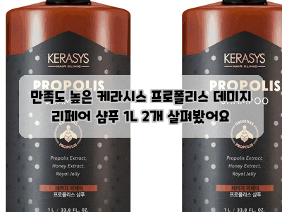 만족도 높은 케라시스 프로폴리스 데미지 리페어 샴푸 1L 2개 살펴봤어요