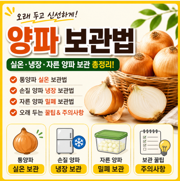 양파 보관법 총정리! 실온·냉장 보관부터 자른 양파 보관까지