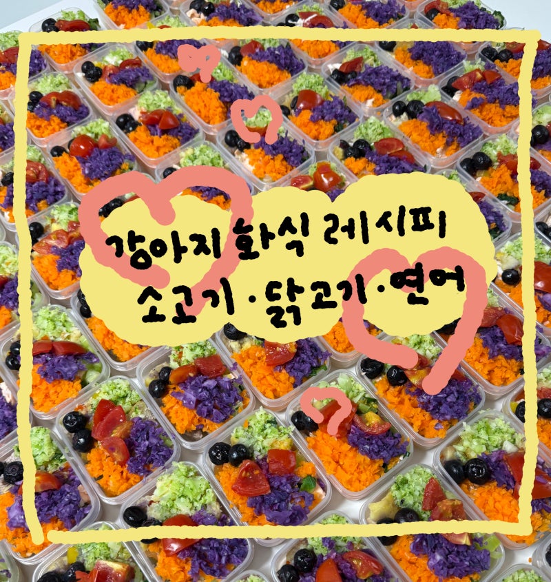 강아지 수제 화식 만들기, 닭가슴살, 소고기 홍두깨살, 연어 버전