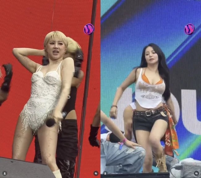 <b>남유정</b>·서인영 <b>워터밤</b> 첫 출연 소식에 팬들 환호 쏟아진 이유