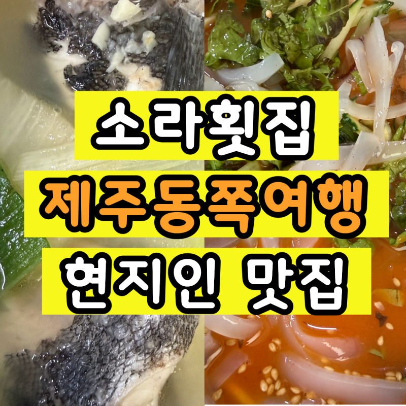제주동쪽여행 구좌 세화 맛집 소라횟집 도민맛집 내돈내산 현지인 추천