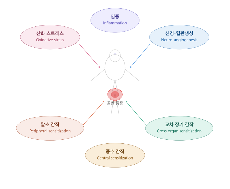 [연재21]의학적으로 설명할 수 없는 증상들의 ABC( ABC of Medically Unexplained Symptoms/ 10장 골반부 및....