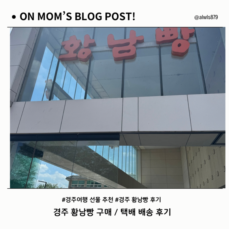 경주 황남빵 추천｜경주 여행 선물로 사온 황남빵 후기