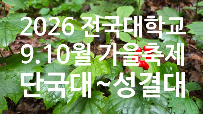 2026. 대학교, 대학 총학생회, 가을축제, 9.10월 대학대동제, 브랜딩, 라인업,대학축제일정 ( 단....