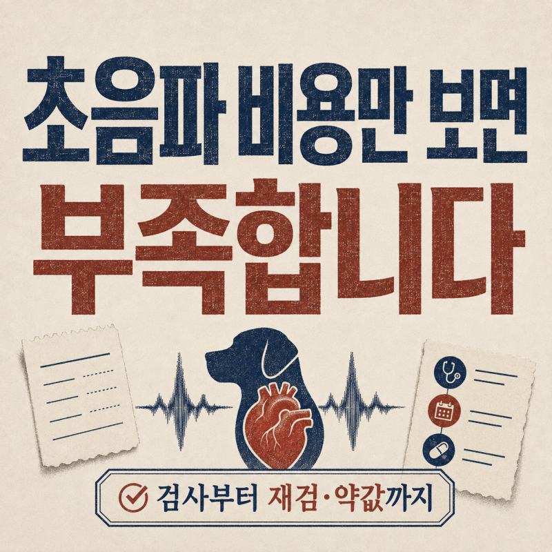강아지 심장초음파 비용 얼마일까? 검사 전 엑스레이·혈압·약값까지 확인할 것