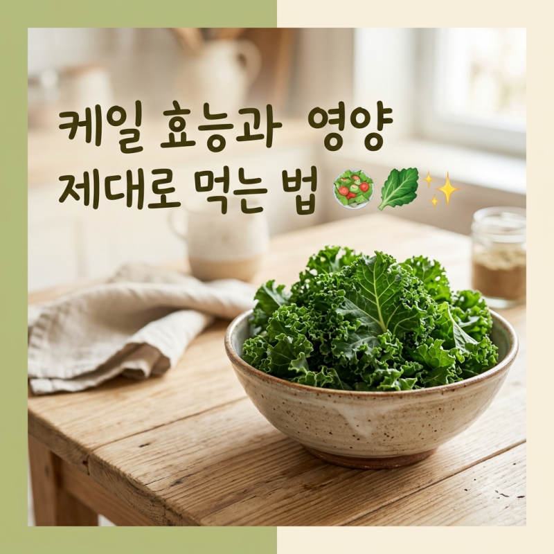 케일 효능, 영양 성분과 먹는 법·섭취 주의사항 정리