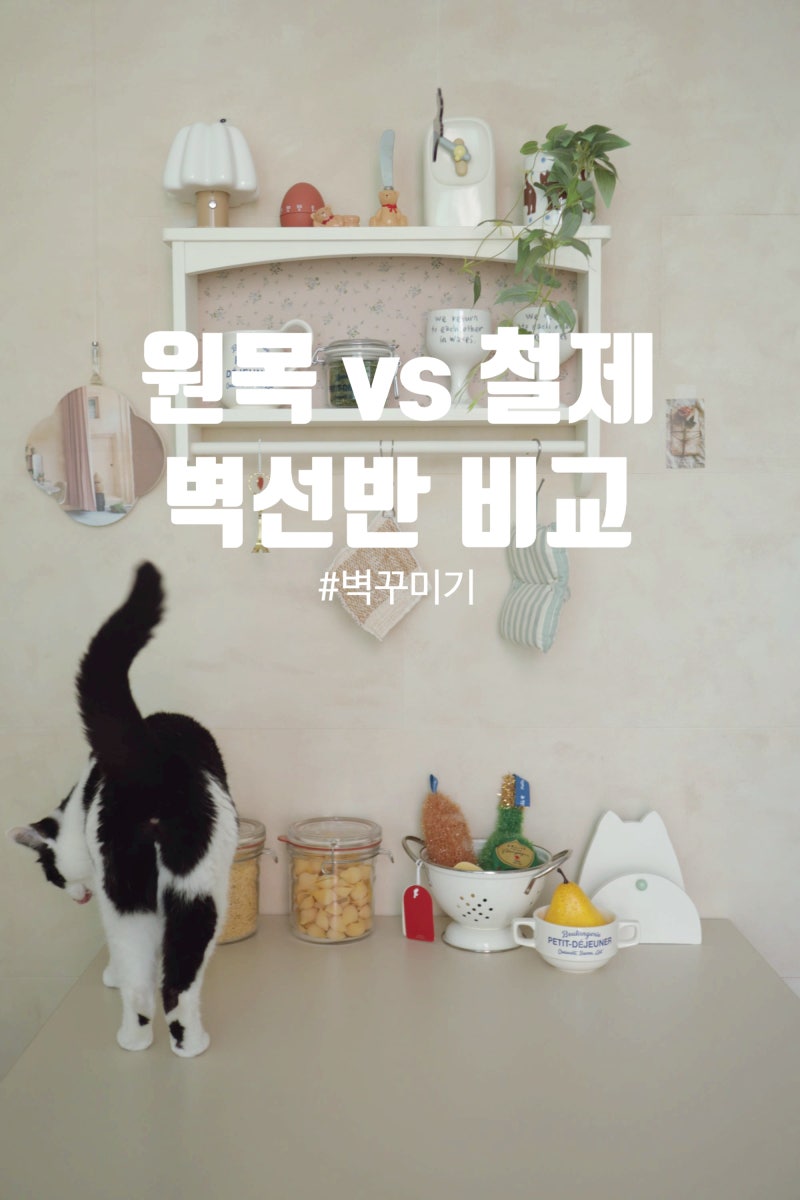벽꾸미기 벽선반 인테리어 원목 vs 철제 벽선반 비교