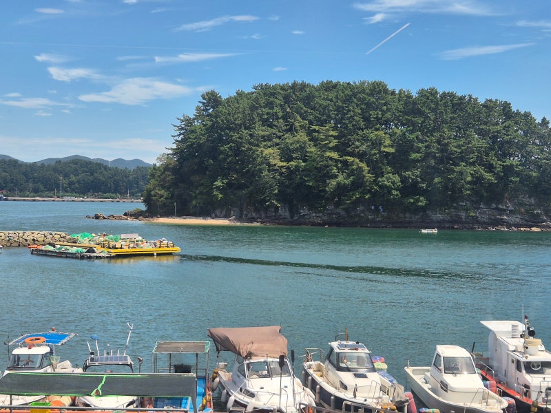 8월 여름휴가(지리산계곡, 사천 삼천포 제주할망횟집) 다녀왔어요~!