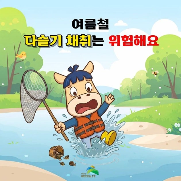 여름철, 다슬기 채취는 위험해요! "사고현황, 안전수칙 등"