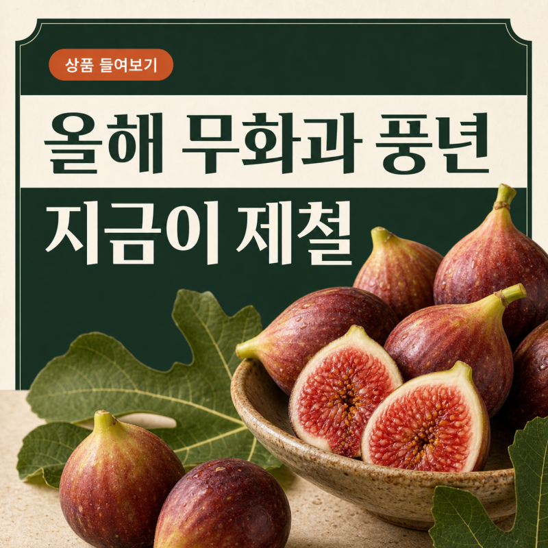 올해 무화과 풍년, 지금이 가장 맛있을 때｜영암 무화과 산지직송